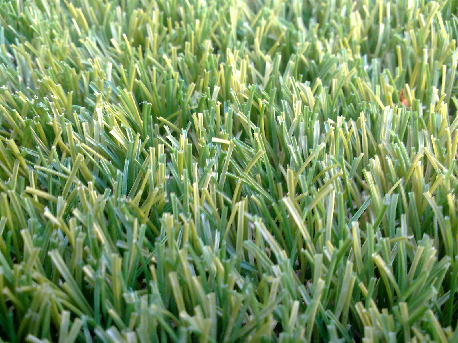 Aicanduit: Instalación de césped artifical (II)